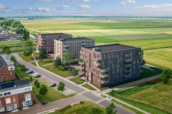 Bekijk afbeelding De Drie Pinsessen op volledig scherm 